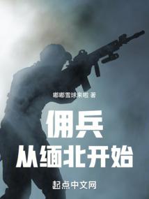 仙路至尊：我以持久驰名修仙界