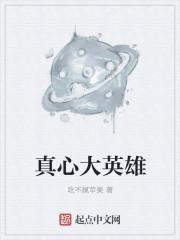 宁安如梦原著小说