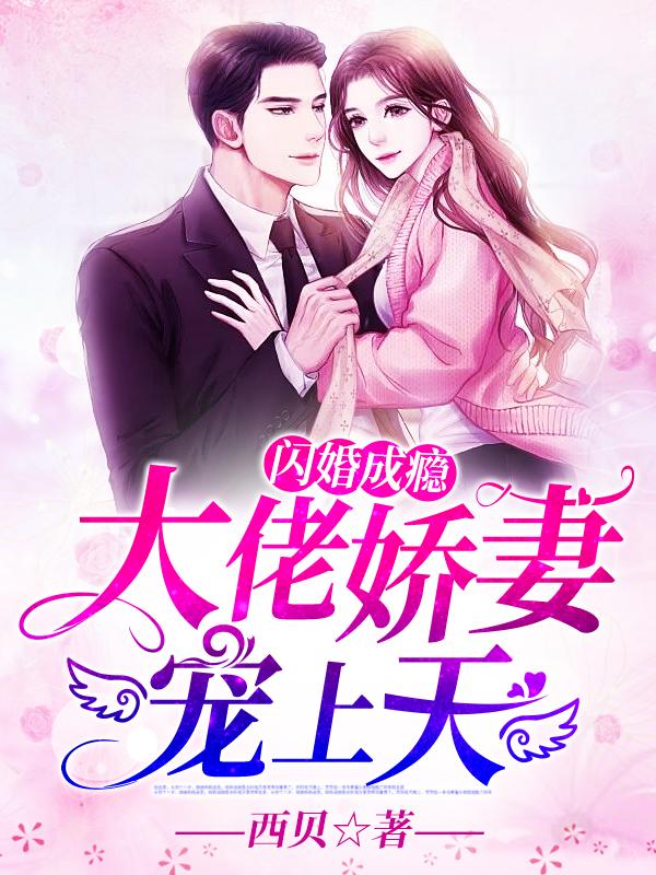 夏笙歌陆九城