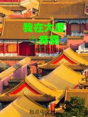 不过是一个穿越女小说免费阅读