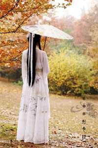 红炉点雪