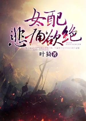 宫墙不知处小说