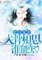 阮以念祁斯砚