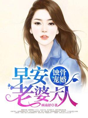 夏倾晚江辞衍主角小说名字