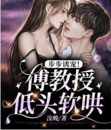 长夏来信小说