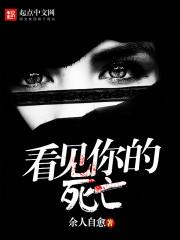 沈辞安玄琅大结局